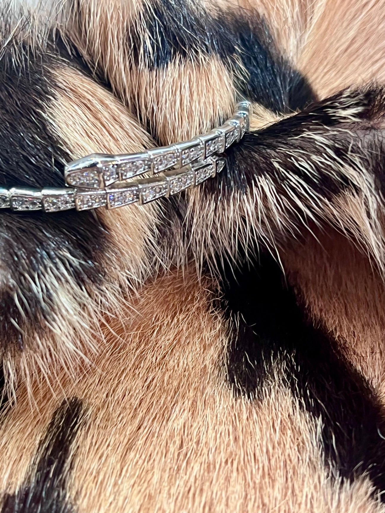 Snake Silver crystal bangle