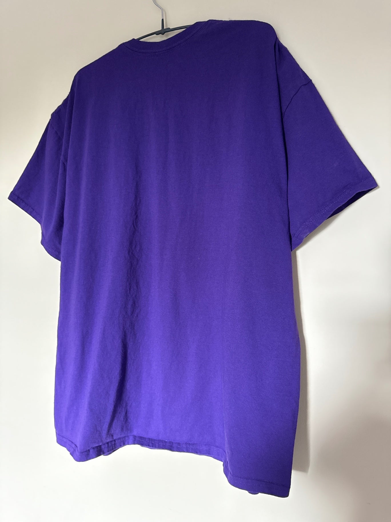 Purple 2022 Arizona Playoffs T-shirt