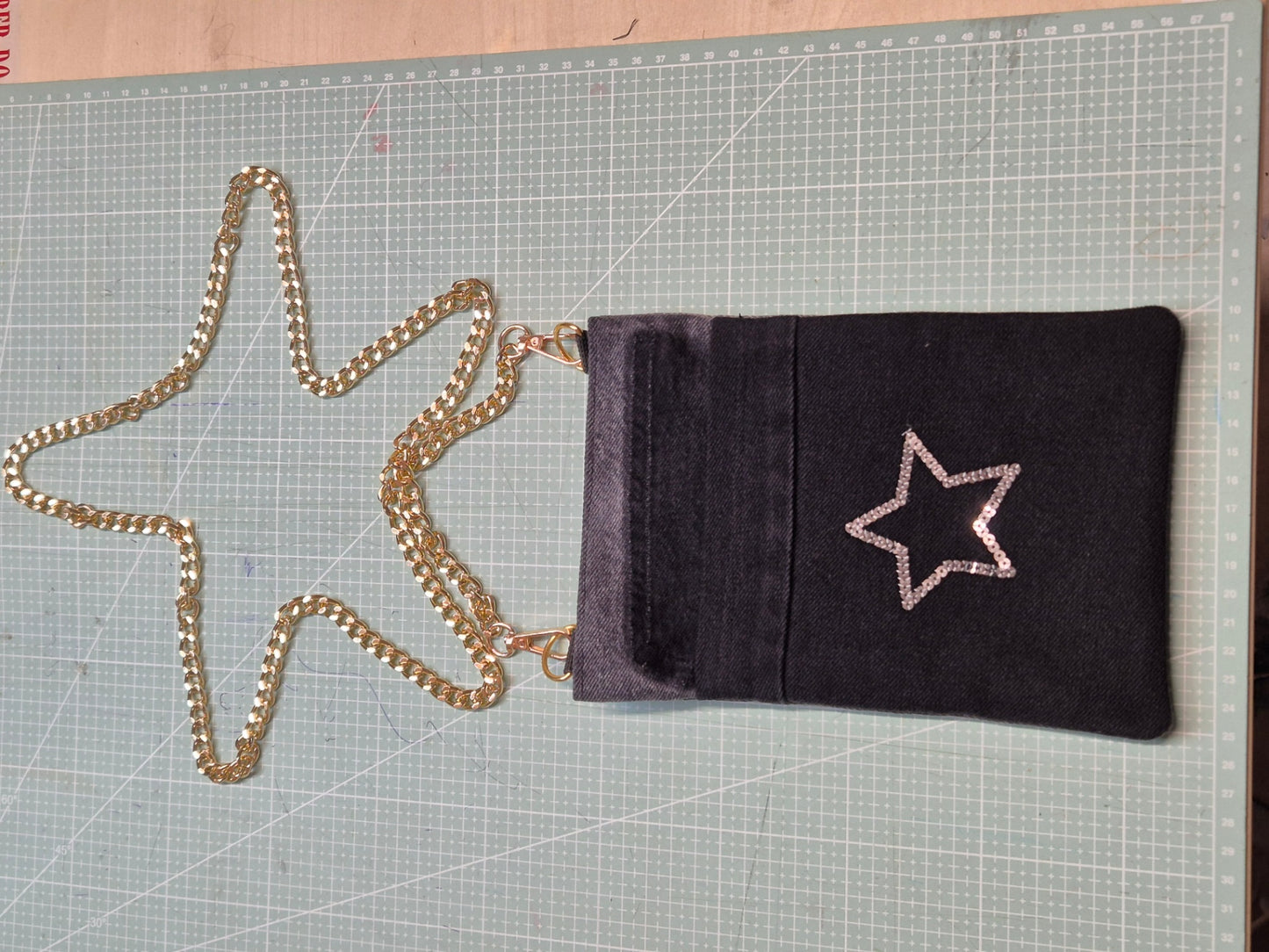 Phone bag