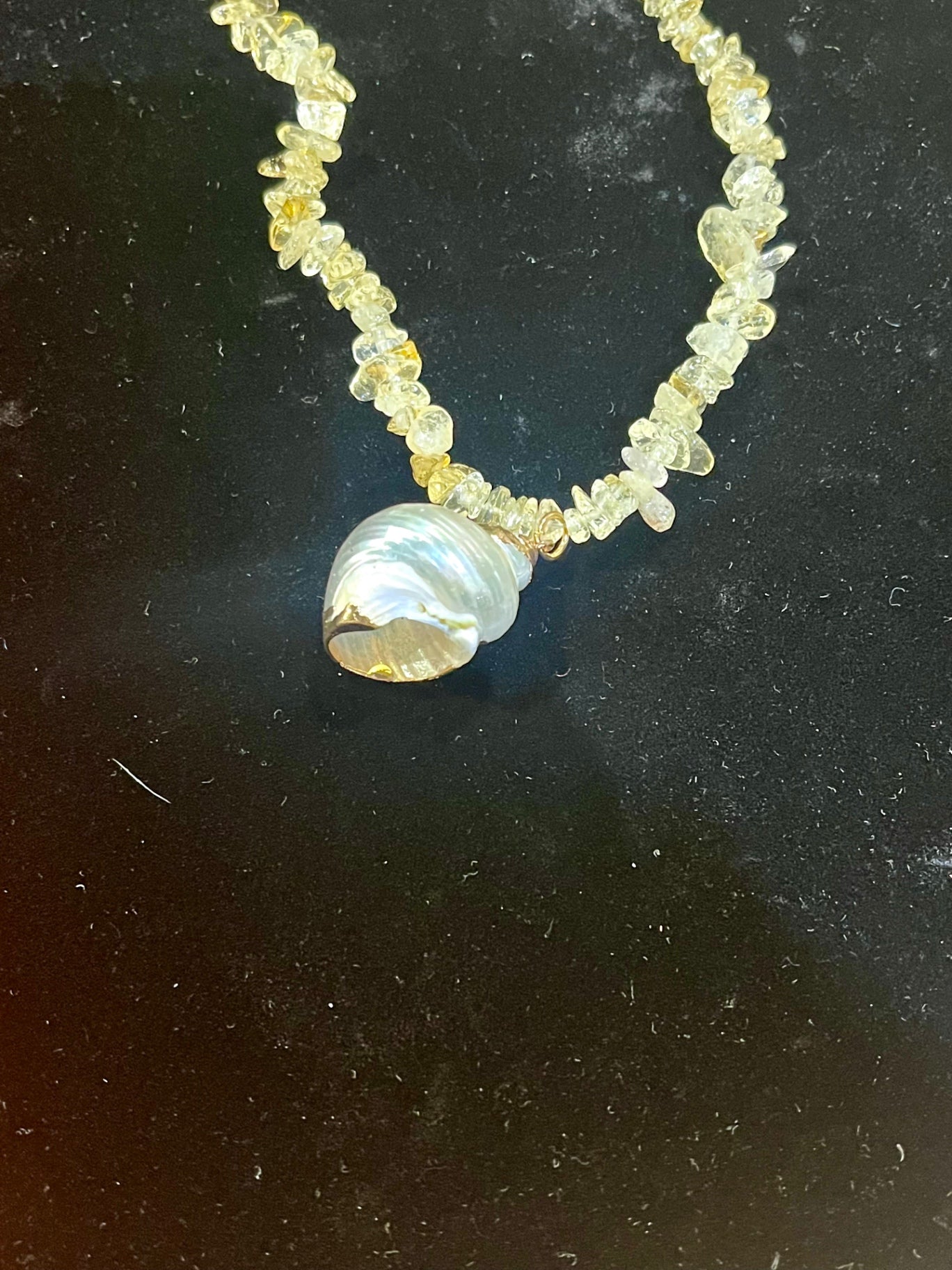 🌞 Sunspell Citrine Shell  Necklace 🌊