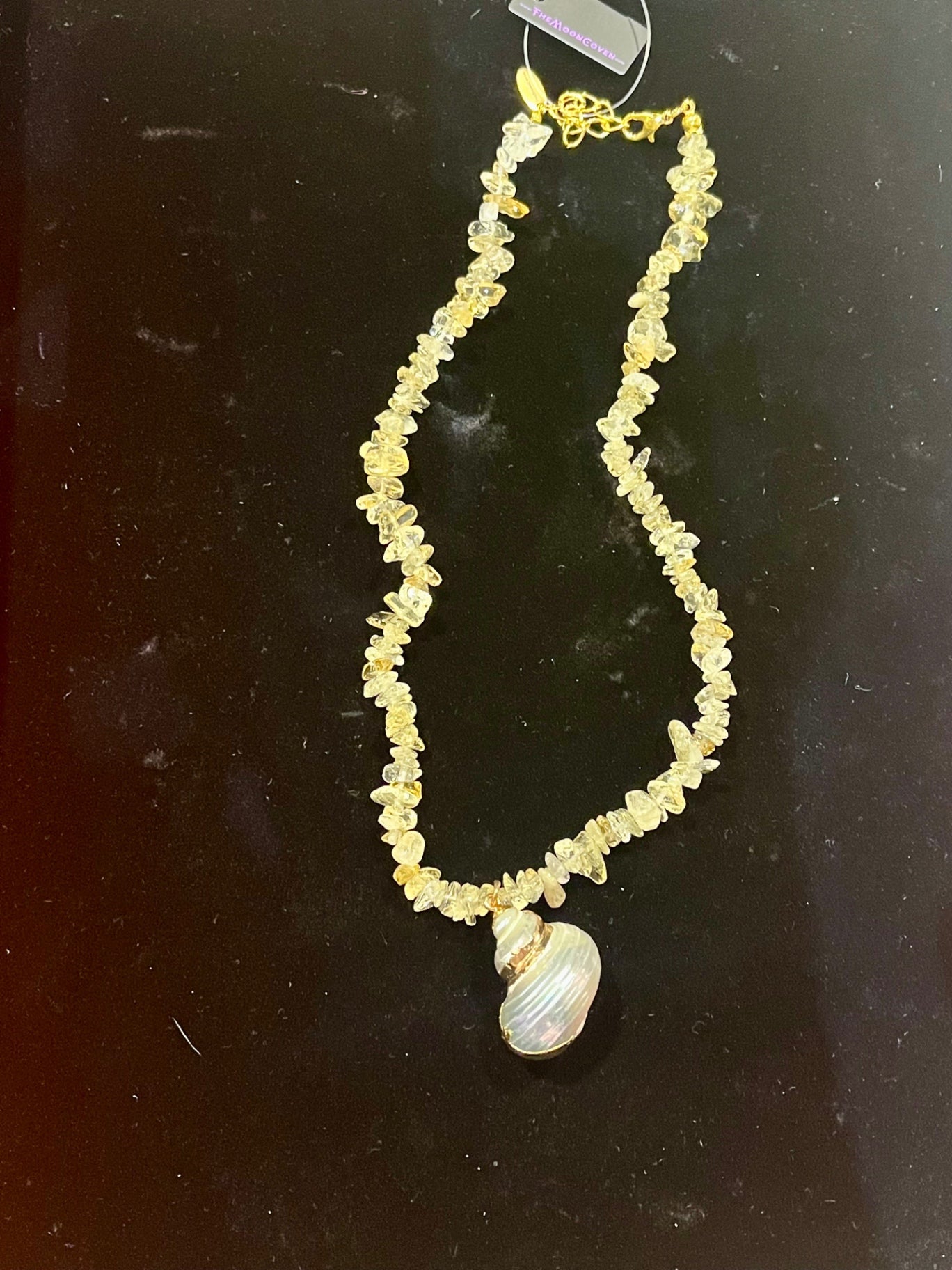 🌞 Sunspell Citrine Shell  Necklace 🌊