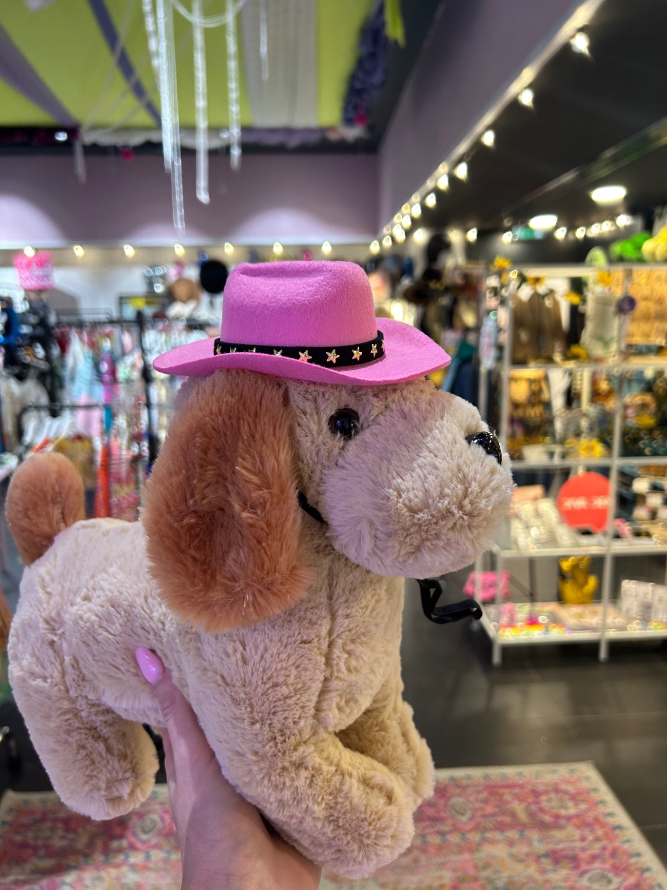 Pet Cowboy Hat - Beige