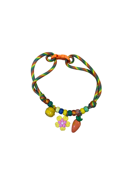 Rainbow Pet Collar