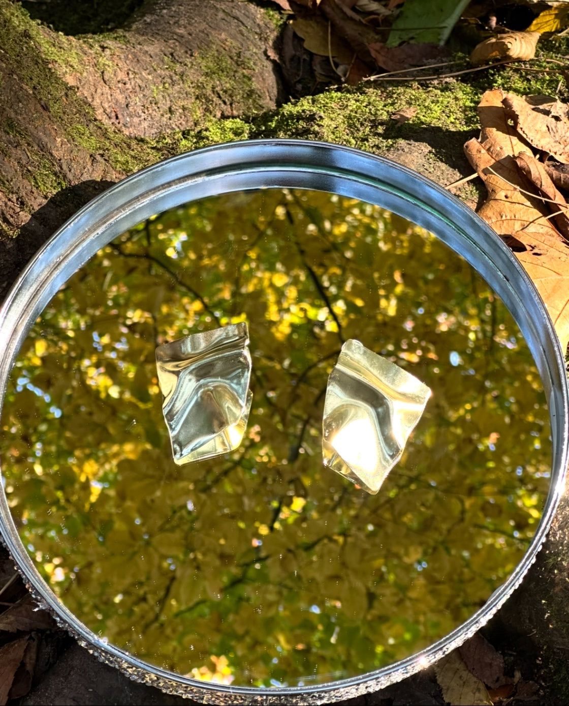 Gold mirror earrings