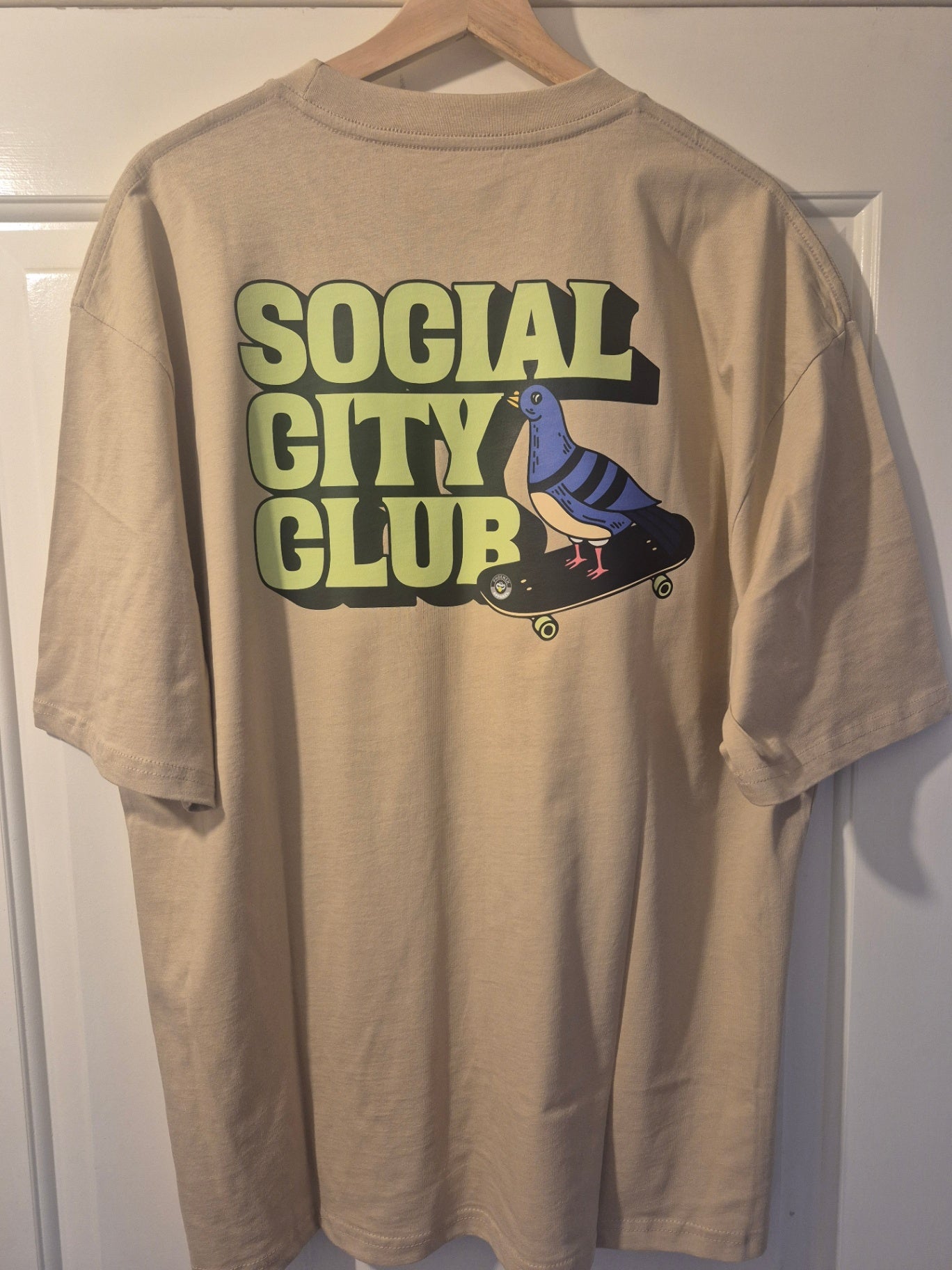 SCC oversized pigeon L