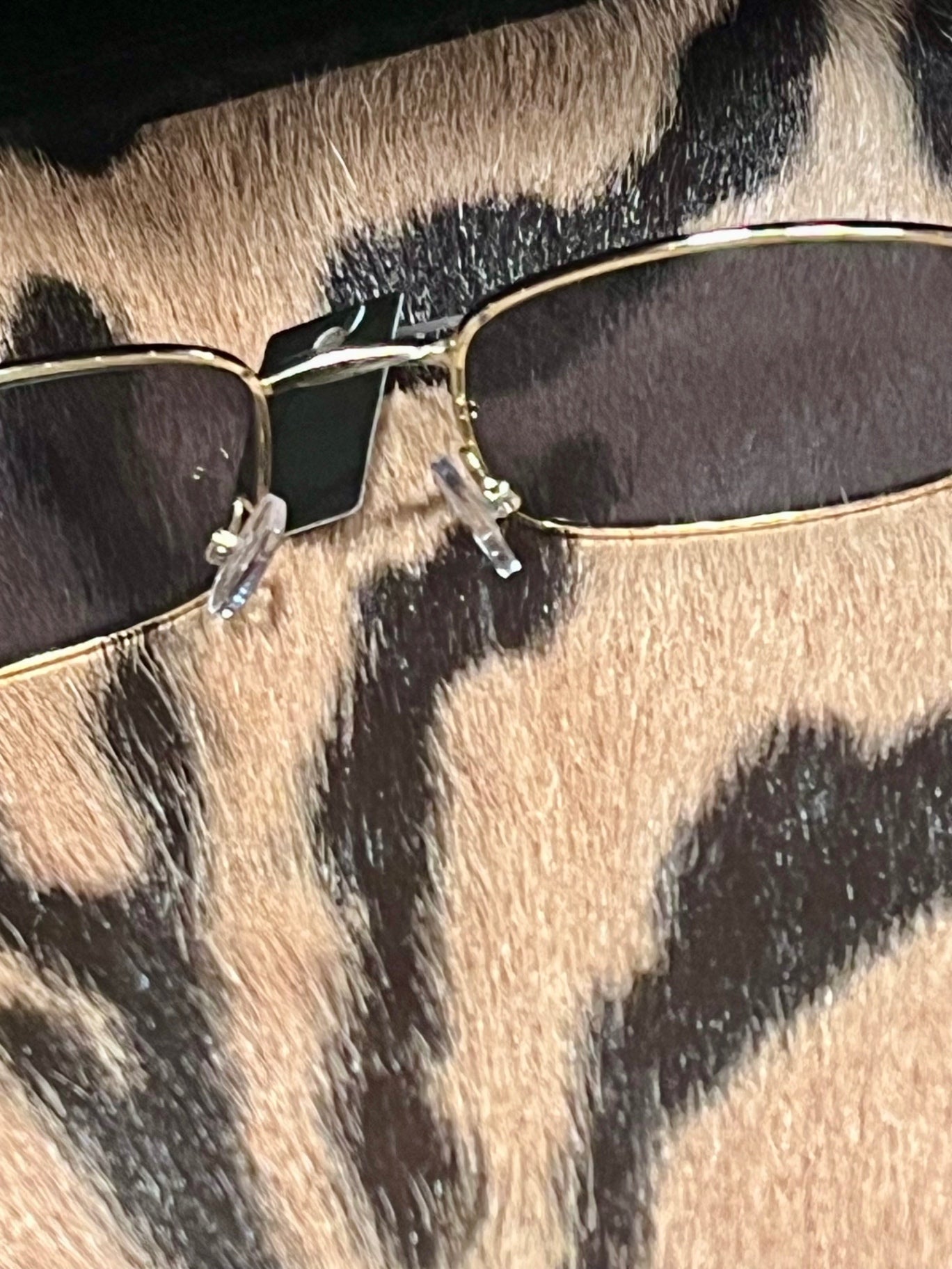 Buffy Metal Frame Sunnies Gold