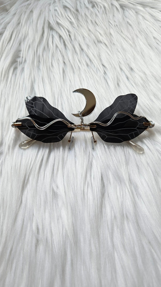 Moth