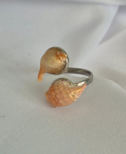 2 prong Seashell Ring