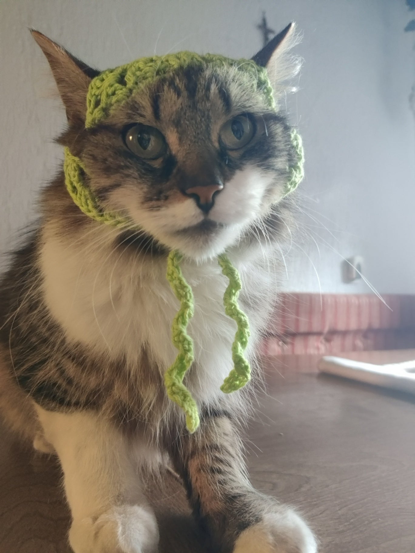 Pet bandana, cat accessories