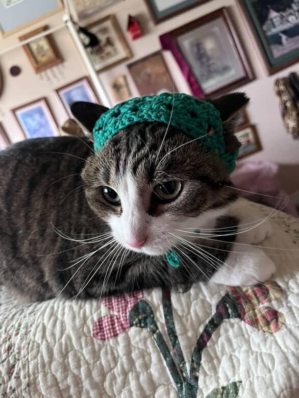 Pet bandana, pet accessories 