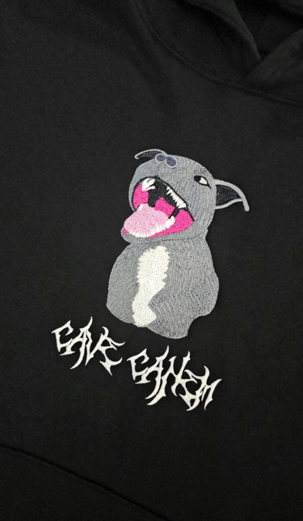 CAVE CANEM 