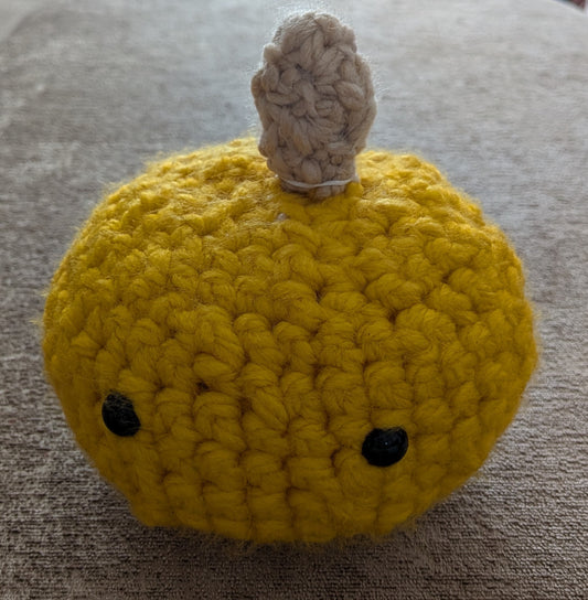 Large pumpkin 