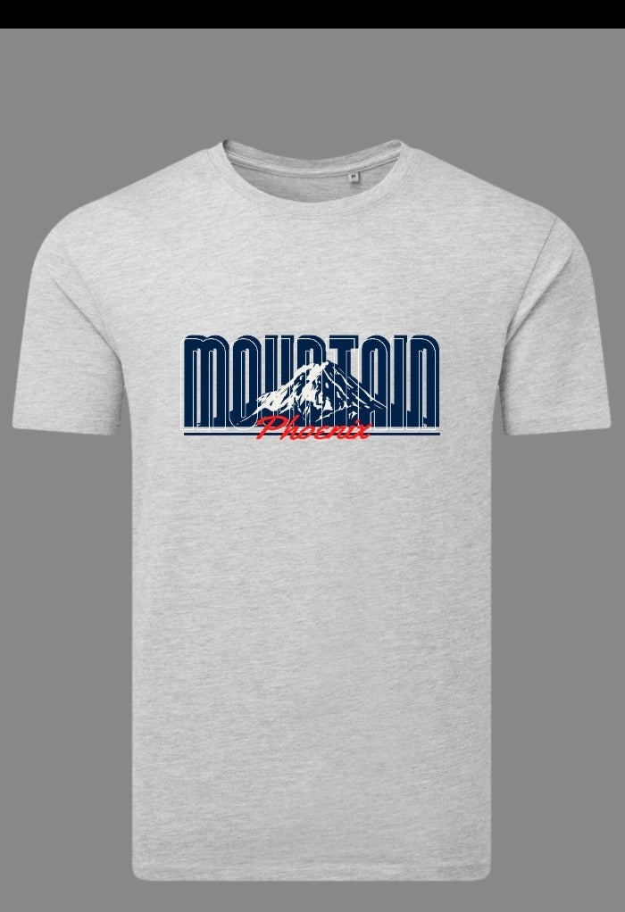 Mountain grey L Tshirt 