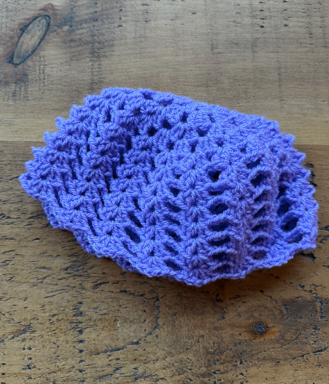 Crochet Skull Cap Purple