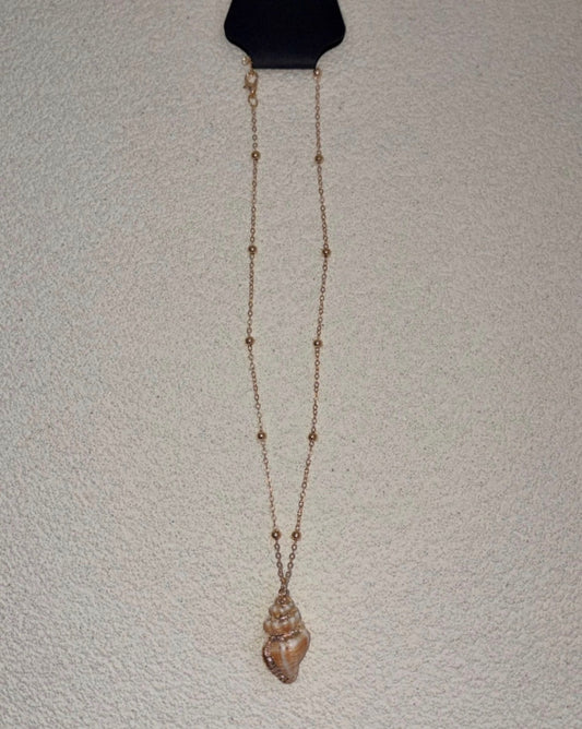 Shell nude 