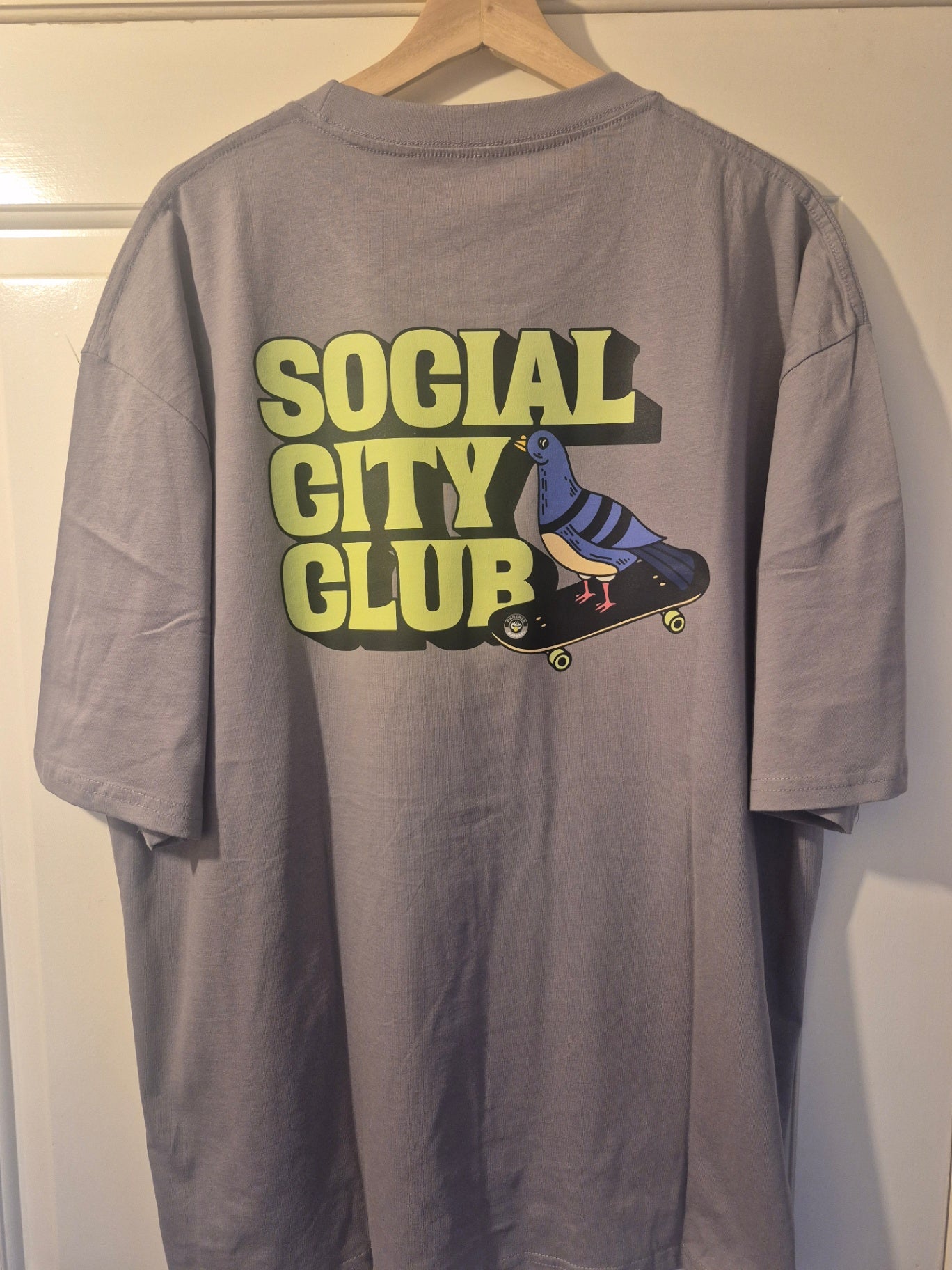 SCC pigeon lilac XL