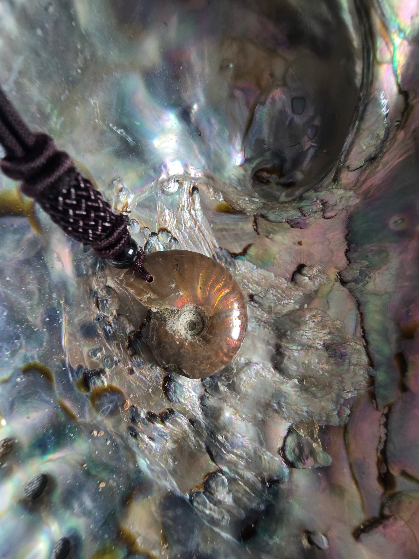 Ammonite necklace 