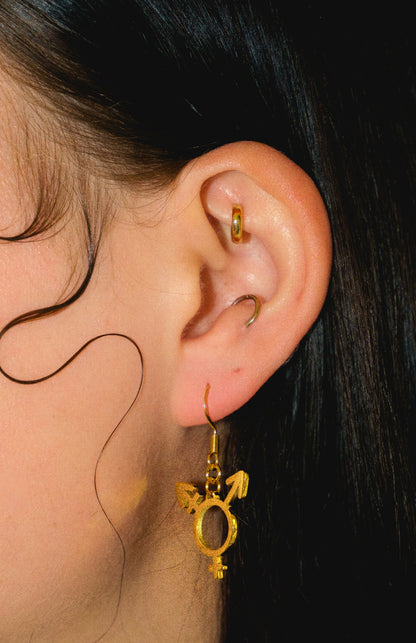 Gold Trans symbol earrings in 304 stainless steel 