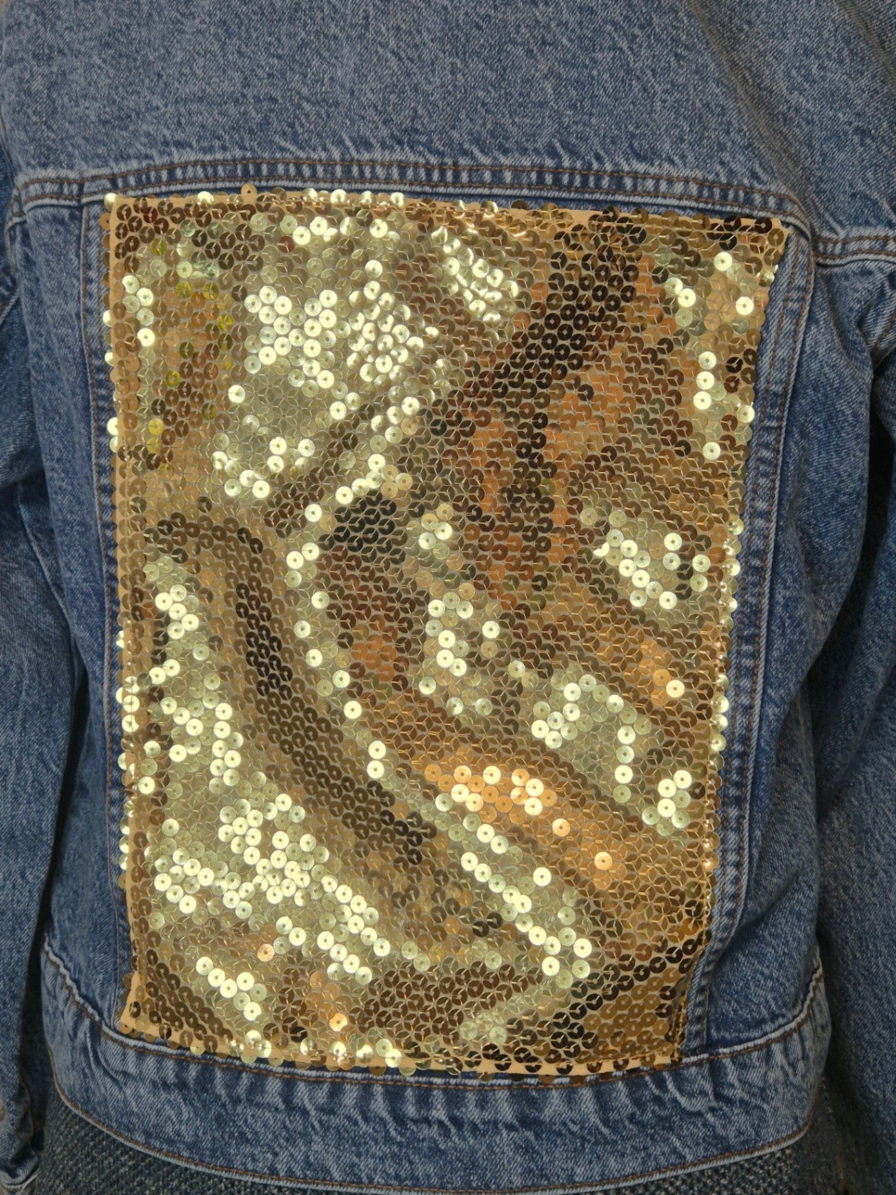 Blue and gold jacket