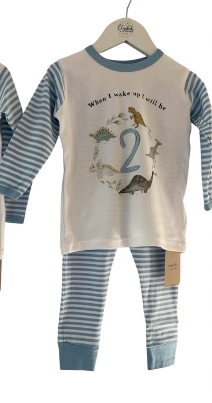 2/3yrs Blue Dinosaur 