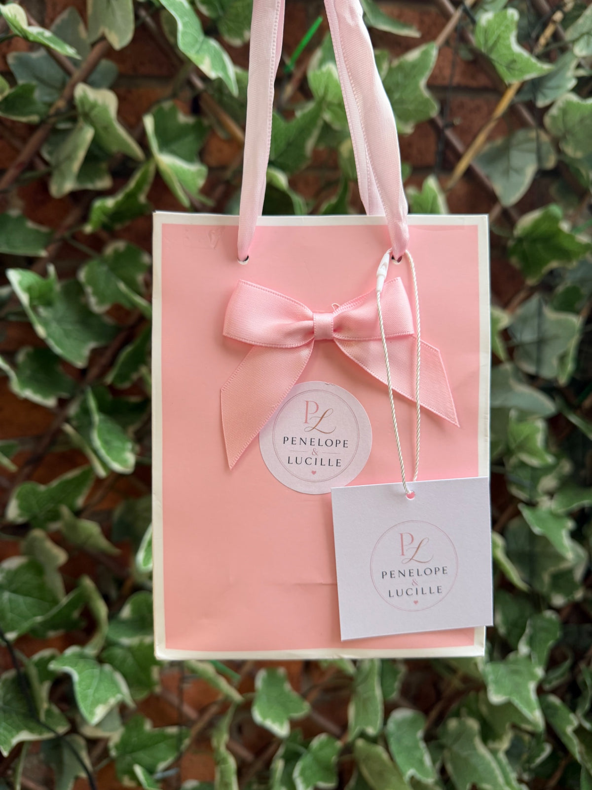 Mystery bag 