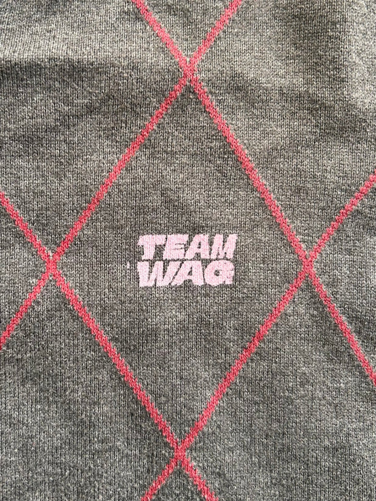 Upcycled knit with Team Wag overprint